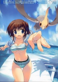 BUY NEW naru nanao - 82497 Premium Anime Print Poster